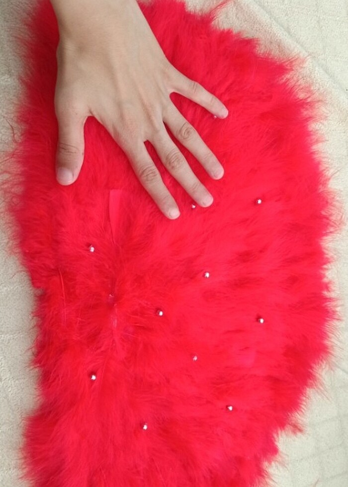 Kına yelpaze  - Görsel 2