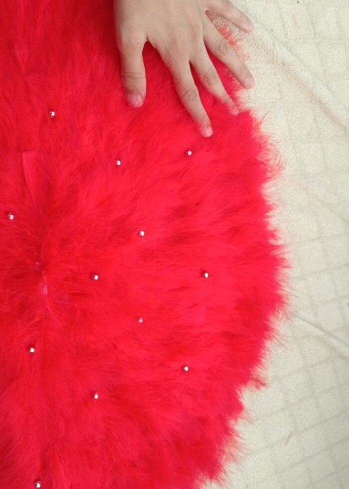 Kına yelpaze  - Görsel 3