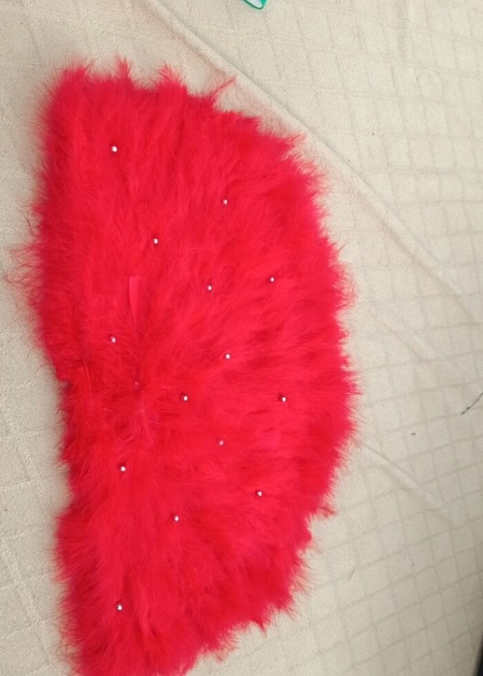 Kına yelpaze  - Görsel 4