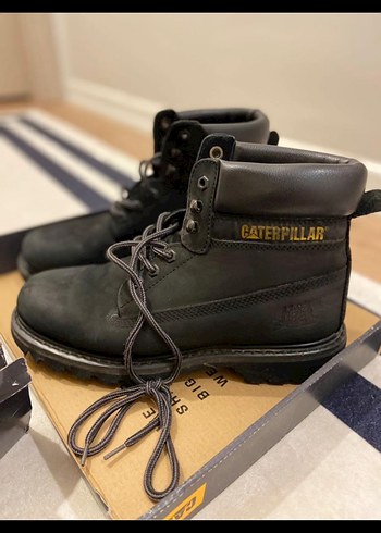 Siyah erkek cat bot - Görsel 2