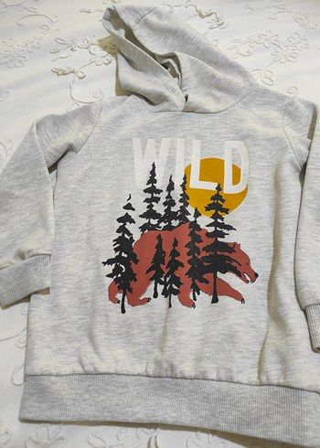 Kapüşonlu ekruErkek Çocuk Sweatshirt - Görsel 5