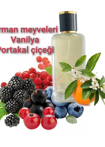 Kadın Parfümü Vanilya ve Meyve Kokulu