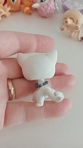  Minis 