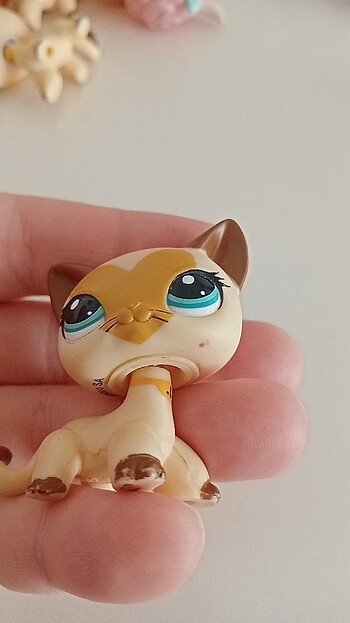  Miniş 