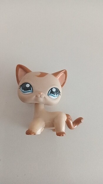 Miniş 