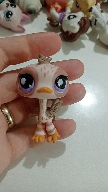 Miniş 