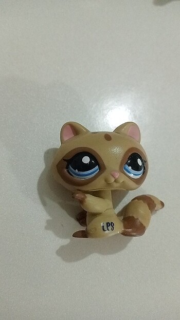  Miniş 