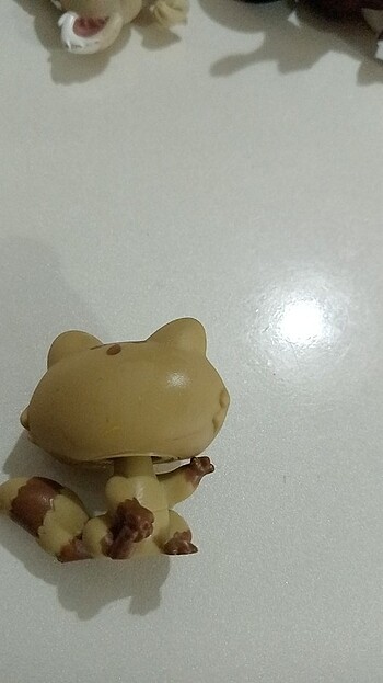  Beden Miniş 