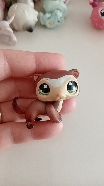 Miniş 