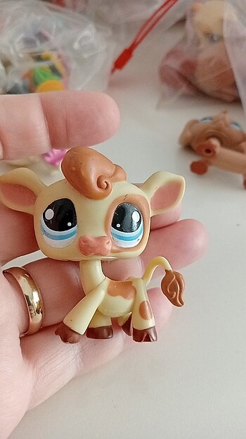 Miniş 