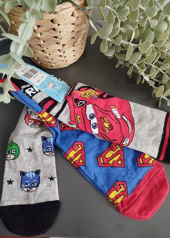 Walt Disney World 30