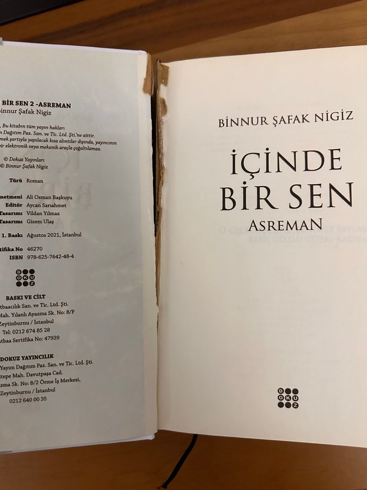 İçinde Bir Sen Asreman- Binnur Şafak Nigiz - Görsel 2