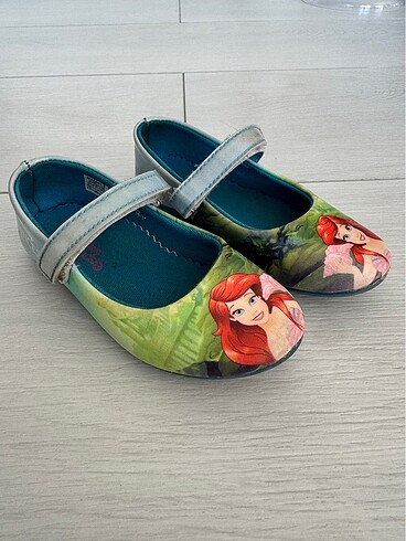 Walt Disney World 26