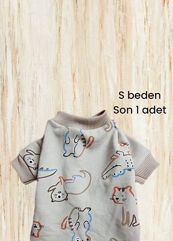 Kedi köpek kıyafeti