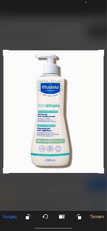 Mustela