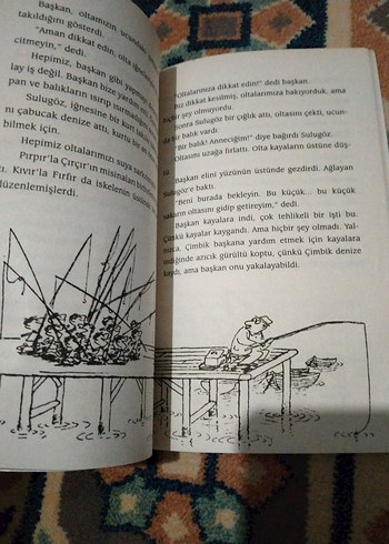 Pıtırcık ve Kurnaz Tilki Kitapları can yayınları - Görsel 7