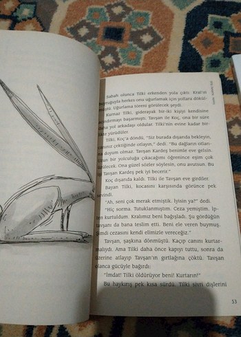 Pıtırcık ve Kurnaz Tilki Kitapları can yayınları - Görsel 5