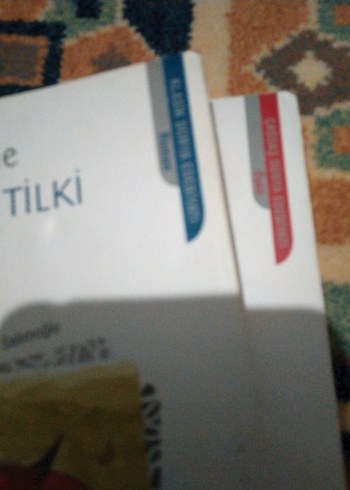 Pıtırcık ve Kurnaz Tilki Kitapları can yayınları - Görsel 8