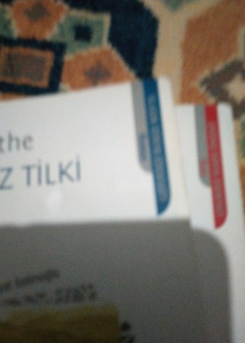 Pıtırcık ve Kurnaz Tilki Kitapları can yayınları - Görsel 9