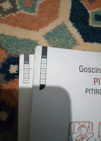 Pıtırcık ve Kurnaz Tilki Kitapları can yayınları - Görsel 11