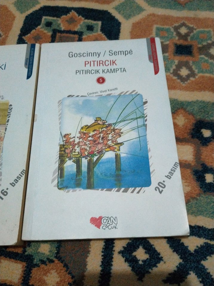 Pıtırcık ve Kurnaz Tilki Kitapları can yayınları - Görsel 3