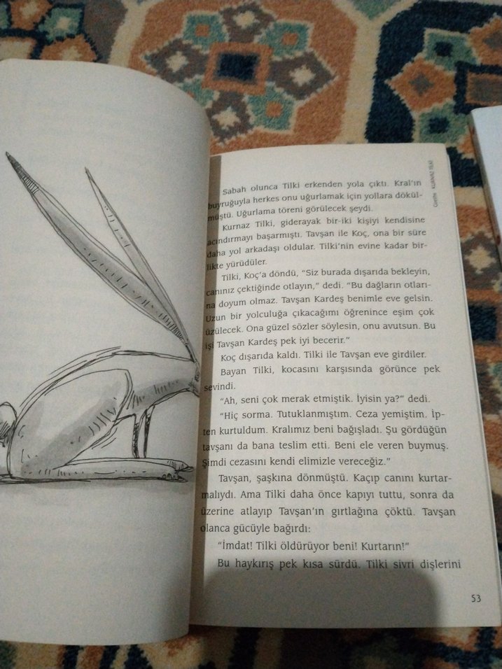 Pıtırcık ve Kurnaz Tilki Kitapları can yayınları - Görsel 5