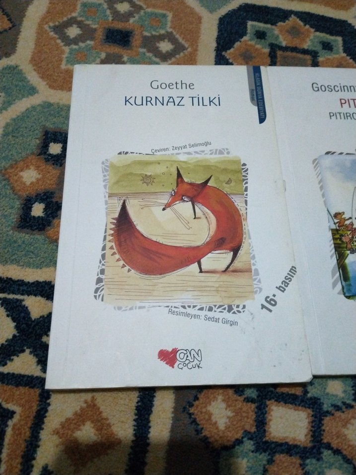 Pıtırcık ve Kurnaz Tilki Kitapları can yayınları - Görsel 2