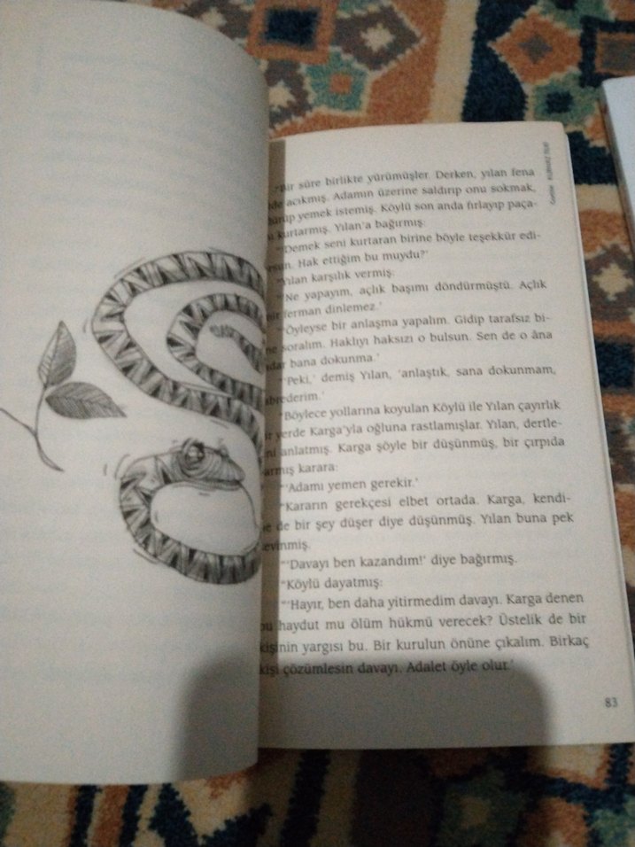 Pıtırcık ve Kurnaz Tilki Kitapları can yayınları - Görsel 4