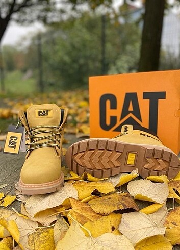 Cat erkek bot