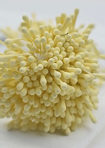 Beyaz çiçek  Süsleme Malzemesi - Görsel 2