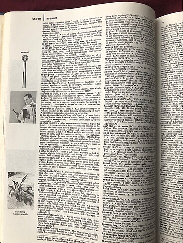 The Grolier International Dictionary - Görsel 4