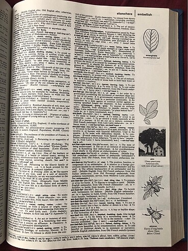 The Grolier International Dictionary - Görsel 5