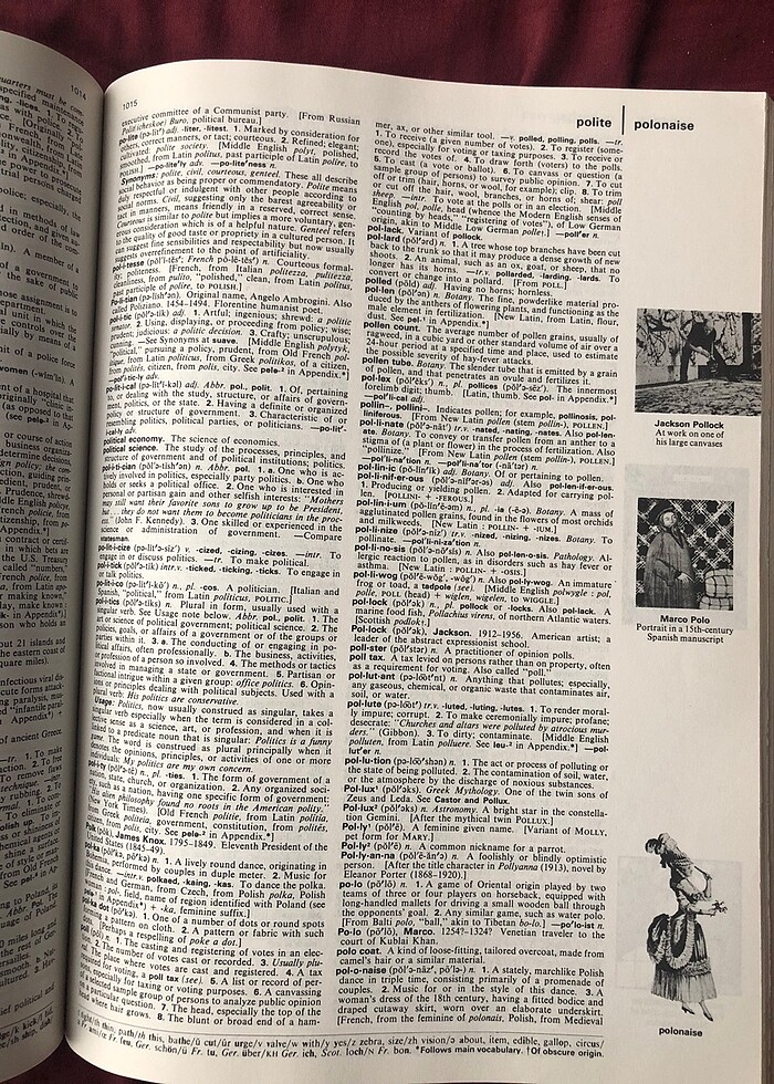 The Grolier International Dictionary - Görsel 3