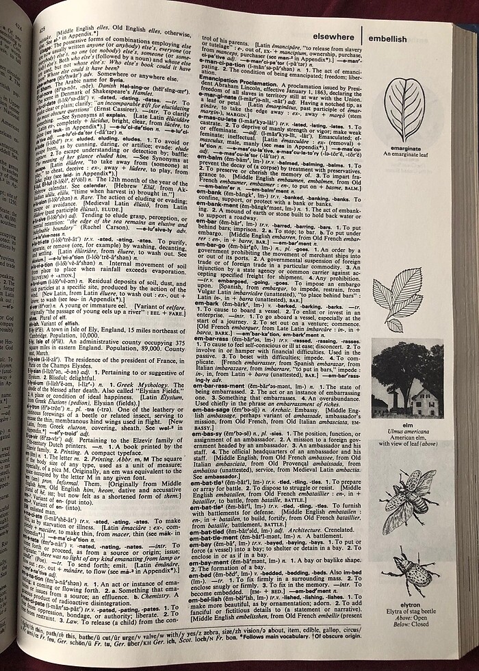 The Grolier International Dictionary - Görsel 5