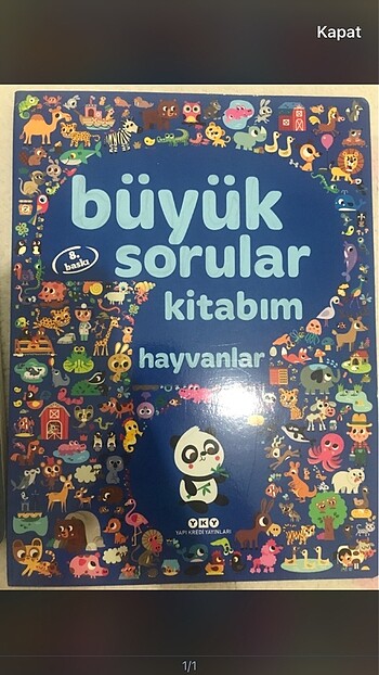 Büyük sorular hayvanlar