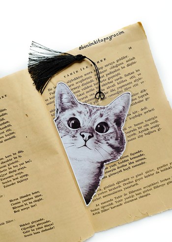 Kitap arasından bakan kitap ayracı