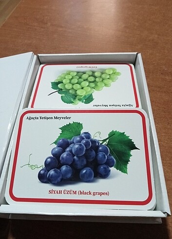 Diğer İlk 100 meyve sebze karti