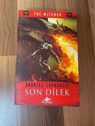 the witcher son dilek