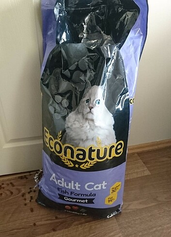 Econature Balıklı Gurme Kedi Maması 15 kg 