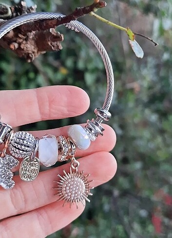  Beden 316 l çelik Pandora 