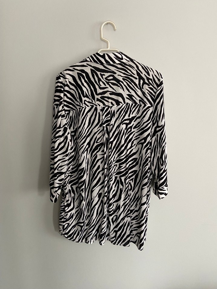 Zebra Desenli Uzun Kollu Kadın Gömlek - Görsel 2