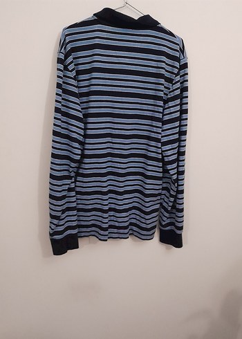 Uzun Kollu Mavi Çizgili Polo Tişört - Görsel 2