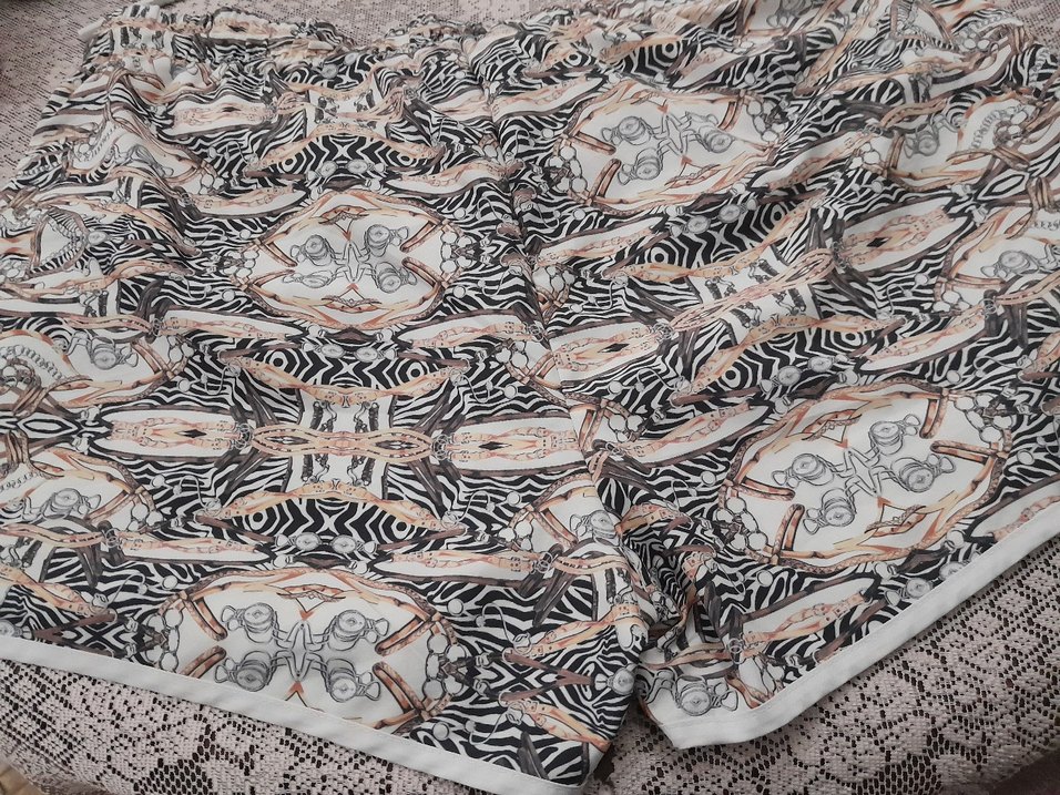 Zebra Desenli Zincir Detaylı Erkek Mini Şort - Görsel 2