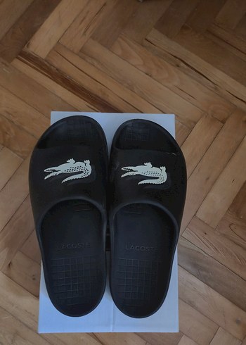 Siyah Lacoste Erkek Terlikler Velcro Bantlı