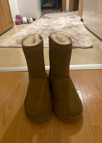 37 Beden UGG BOT