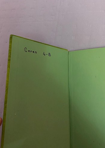 Saftirik Greg'in Günlüğü: Türünün Son Örneği - Görsel 2