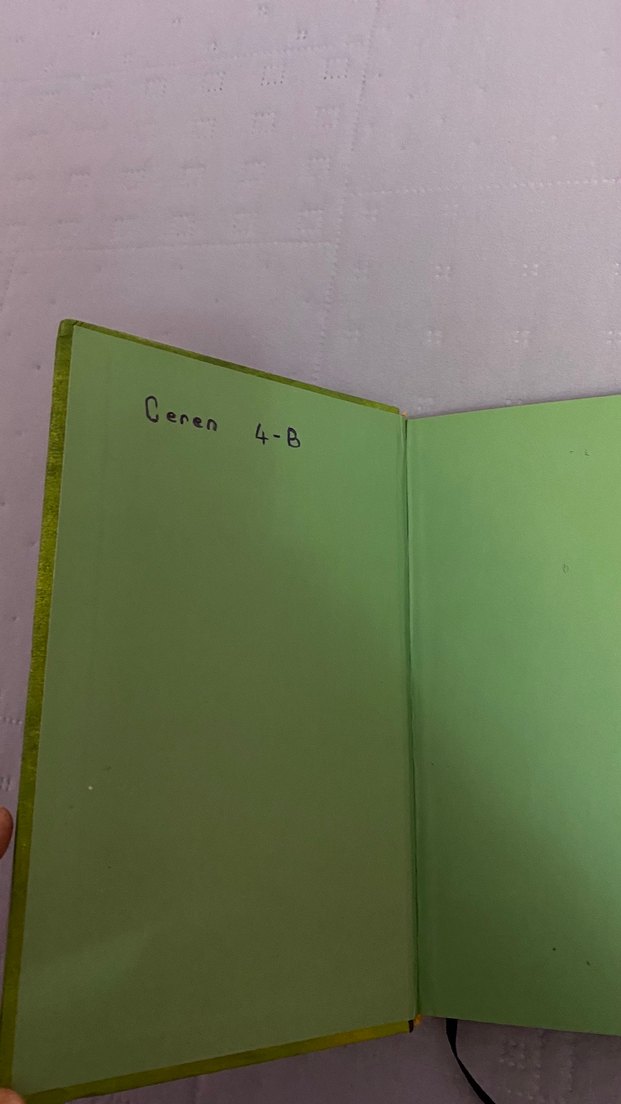 Saftirik Greg'in Günlüğü: Türünün Son Örneği - Görsel 2