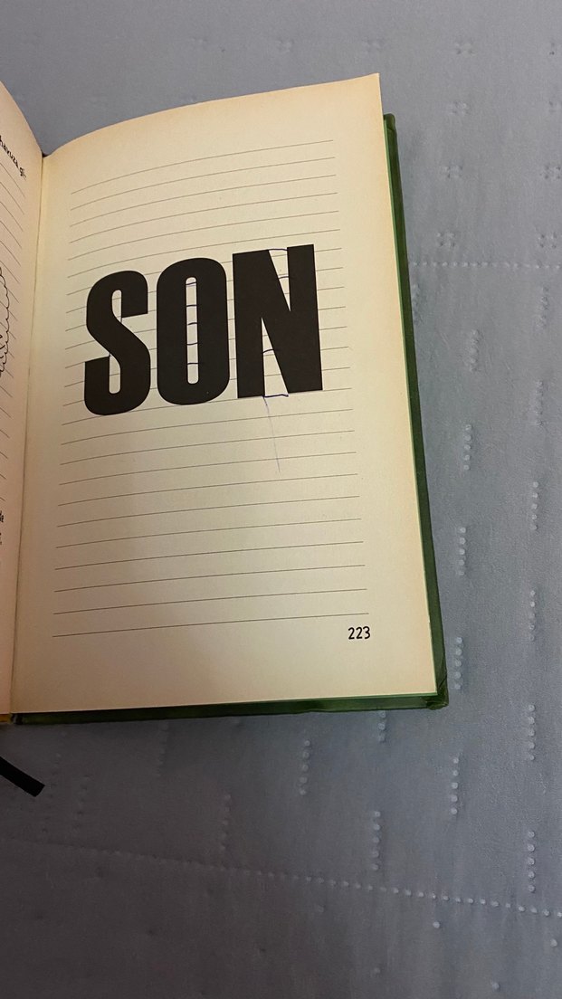 Saftirik Greg'in Günlüğü: Türünün Son Örneği - Görsel 4