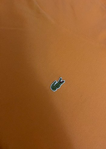 Lacoste 38 beden polo yaka midi elbise - Görsel 6