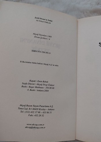 Beden Renk Şeyhi Divanı'nı Tetkik Kitabı